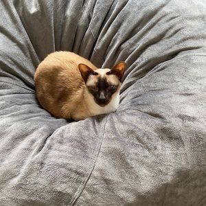 Meet your Posher, Christy